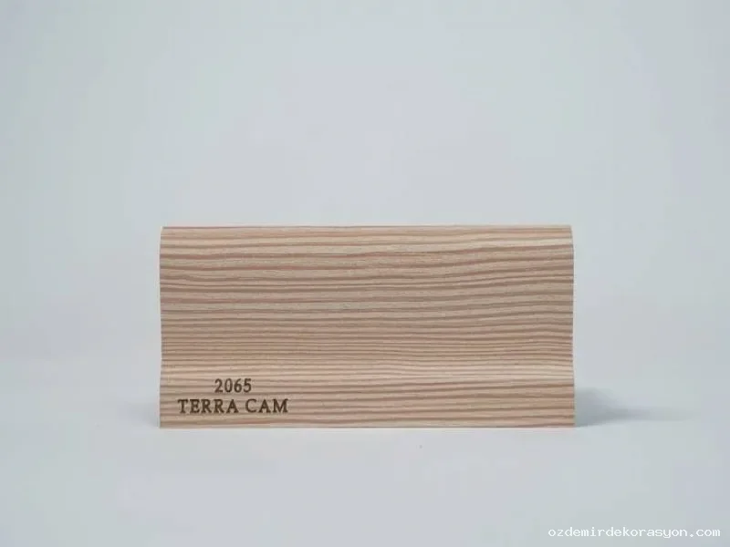 2065 - Terra Cam